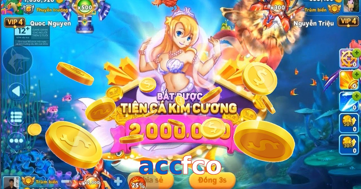 accfco